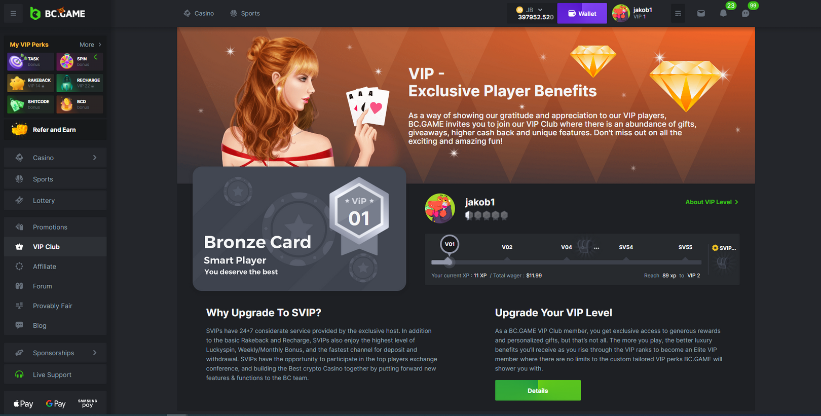 BC.Game Crypto Gambling Enterprise - Authorities Website