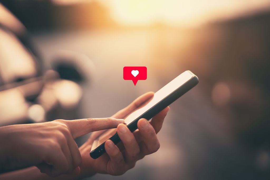 Amorpulse: Unveiling the Quest for Love